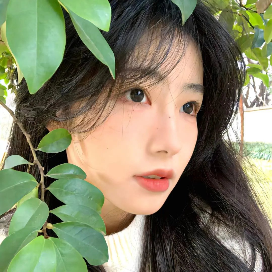 我的维权之路国语